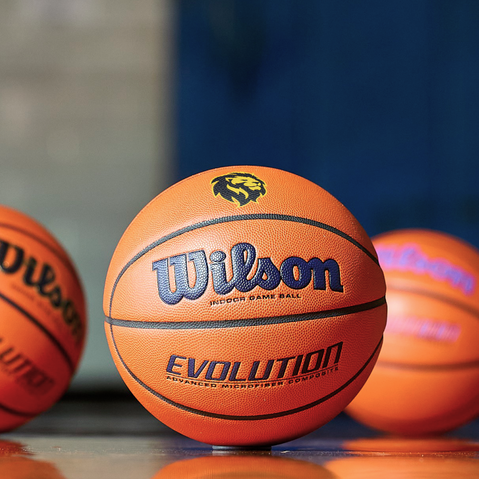 Wilson Sporting Goods Build Your Own Custom Evolution Basketballs