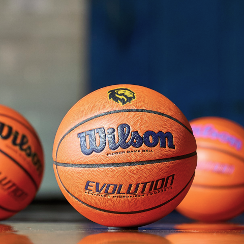Wilson Sporting Goods Custom Basketballs