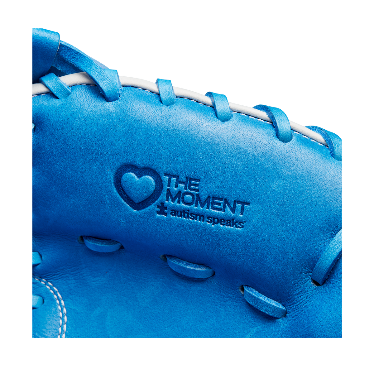 WBW100848_7_A2000_C_LTM_CM33_33_AutismSpeaksBlue