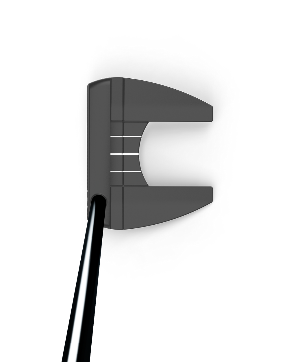 WG1P033801_1_Bucktown_Infinite_Putter_Womens_Address_Shadow