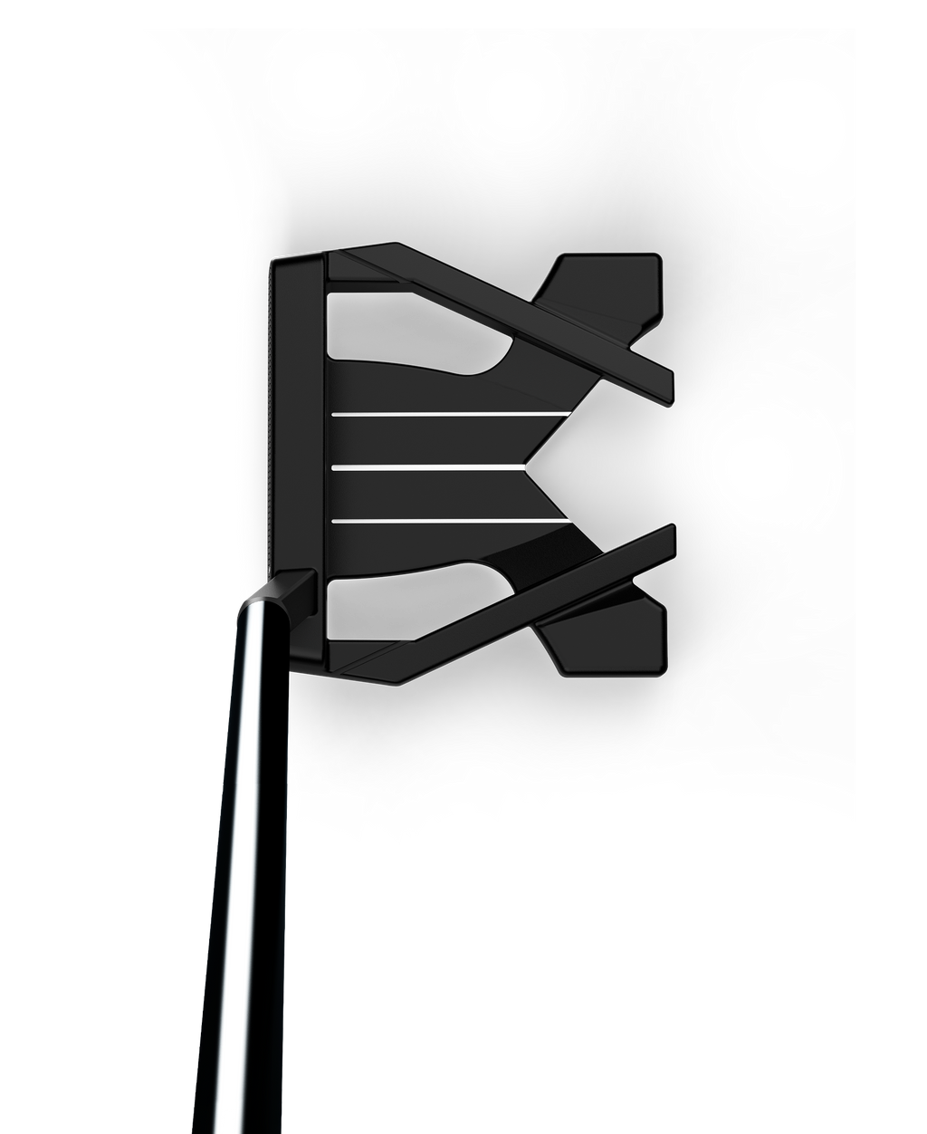 WG1P034701_1_Buckingham_Infinite_Putter_Address_Shadow