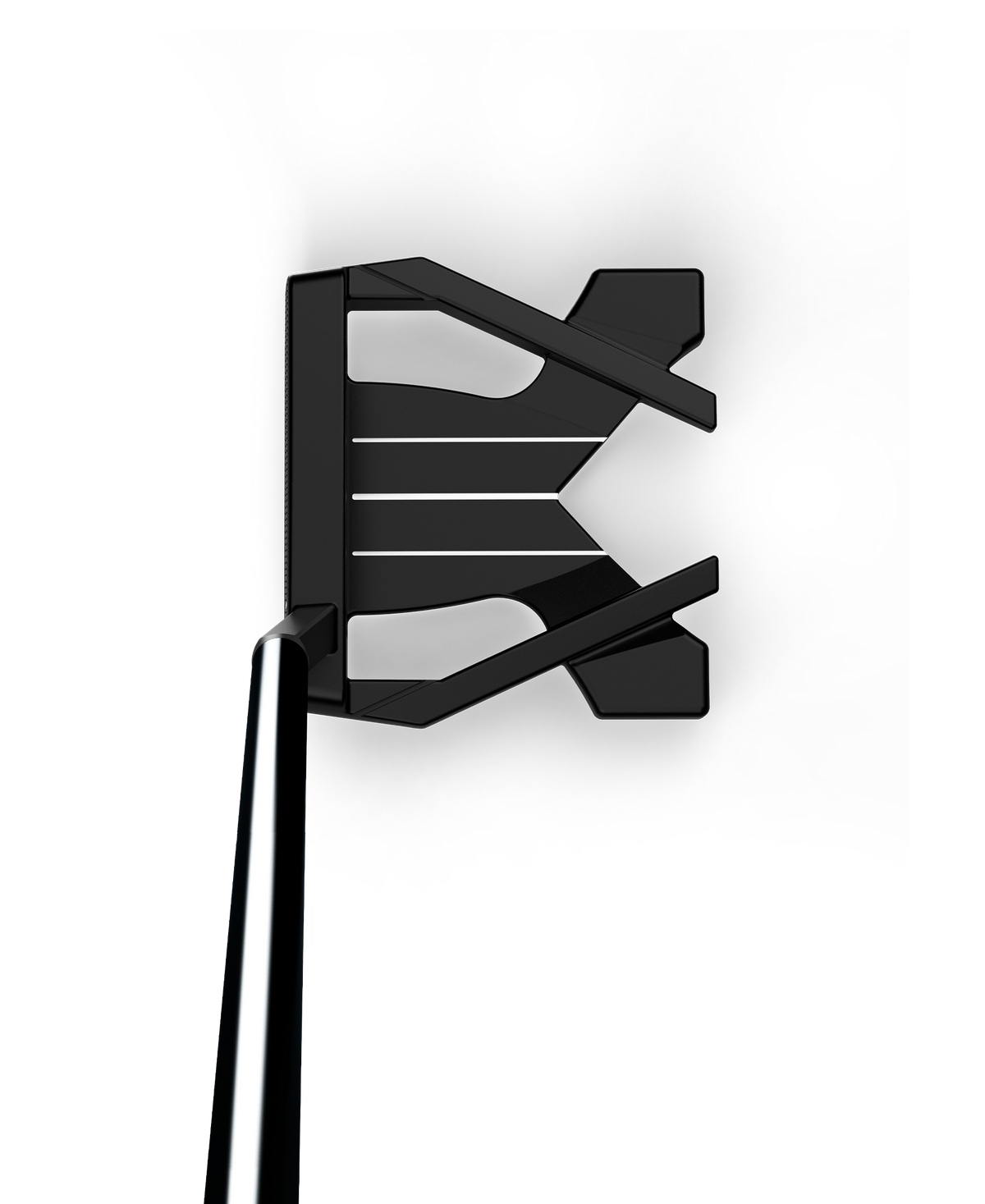 WG1P034701_1_Buckingham_Infinite_Putter_Address_Shadow