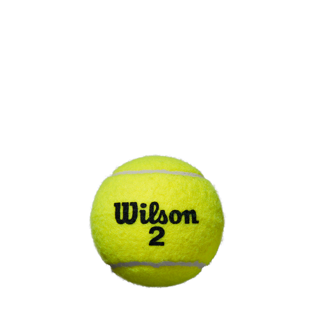 WRT1043 _2_Grand_Slam_All_Court_3Ball_Can_WH_GY_Donut_Cap_Ball.png