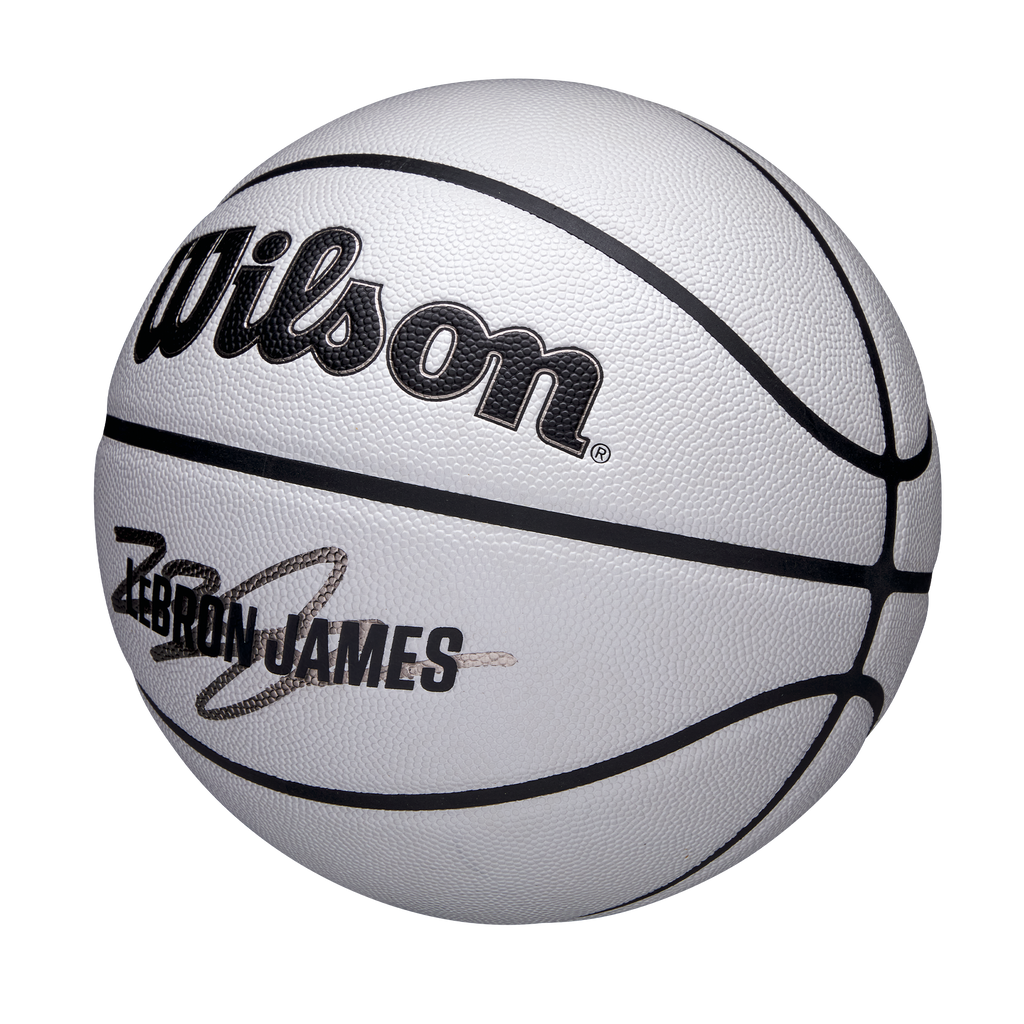 WZ4030501XB_2_7_NBA_PLAYER_ICON_UV_BSKT_LEBRON_295_LIGHTGREY