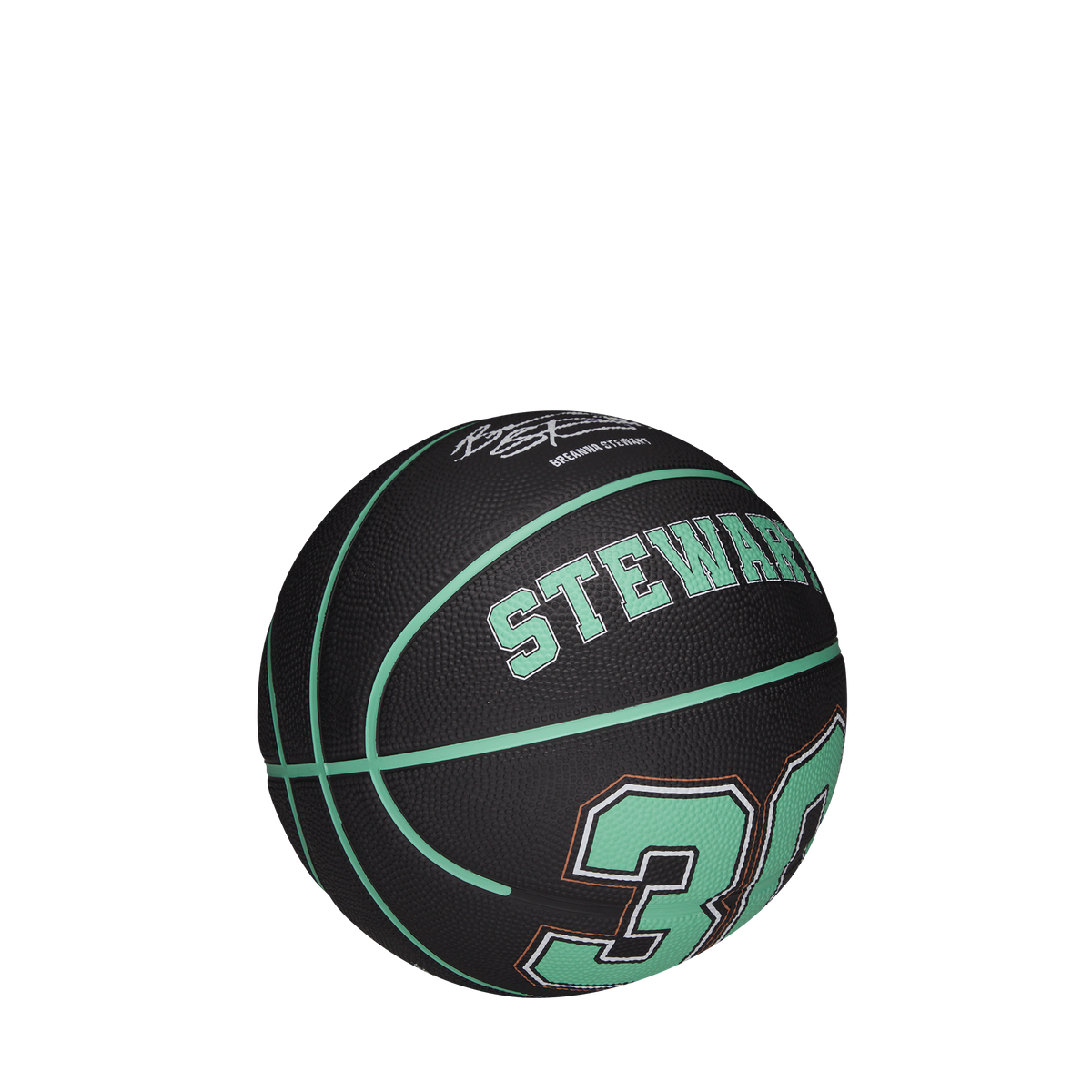 WZ4041301XB_1_3_WNBA_PLAYER_ICON_MINI_BSKT_STEWART_3_Mini_BLACK.png