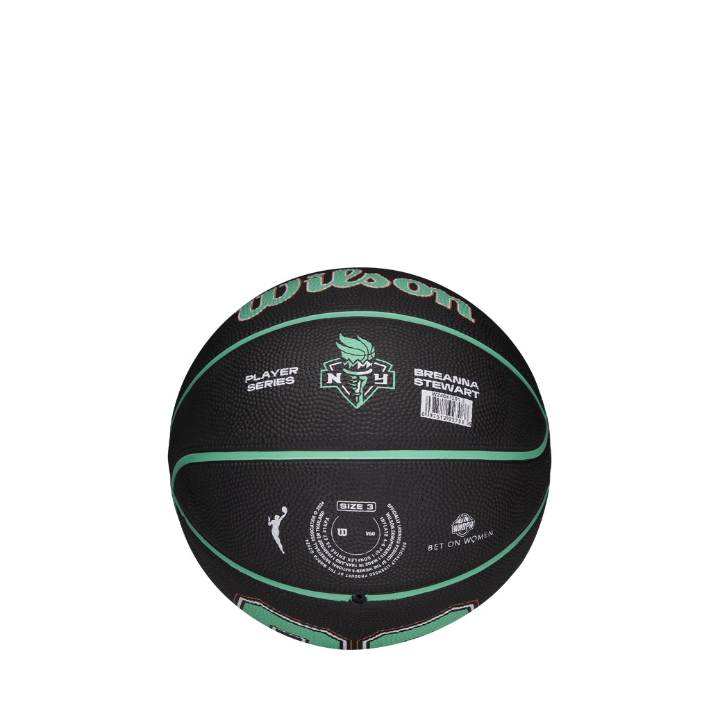 WZ4041301XB_5_3_WNBA_PLAYER_ICON_MINI_BSKT_STEWART_3_Mini_BLACK.png