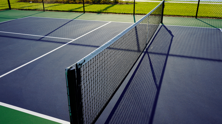 what is pickleball wilson