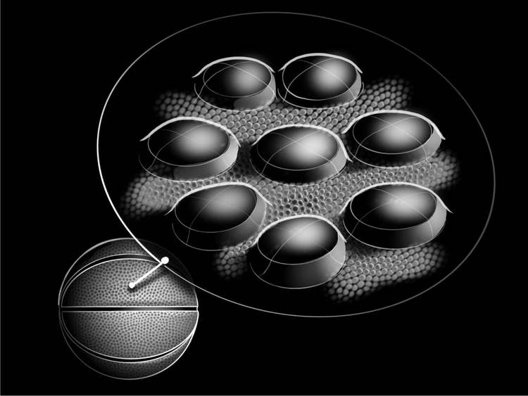 graphic showing micro-touch cover