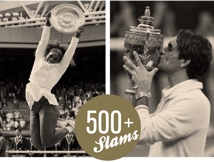 serena and federer with grand slams