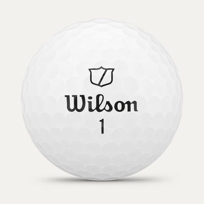 Wilson Staff Model
