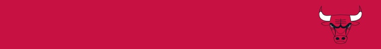 Chicago Bulls Logo