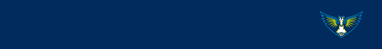 Dallas Wings WNBA Basketball Team