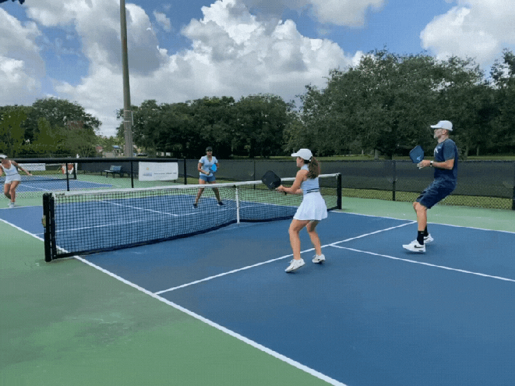 Pickleball gif
