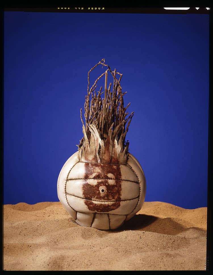 Wilson the Volleyball's glamour shot