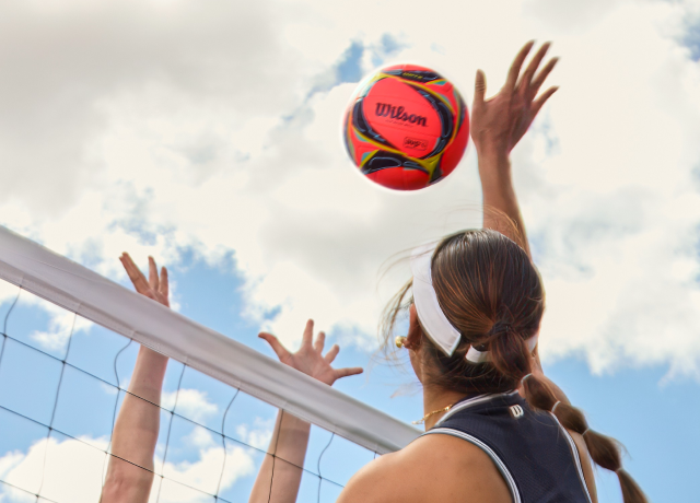 Wilson Volleyball