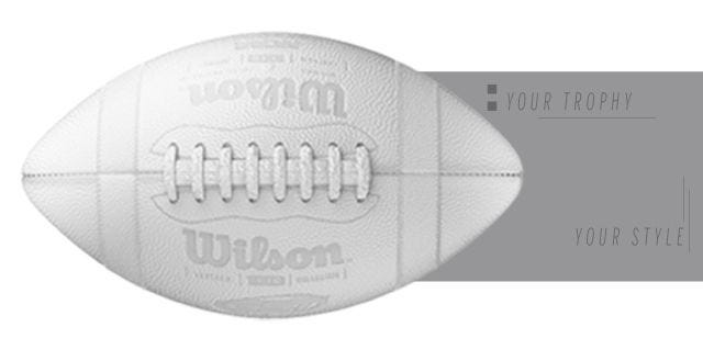 Nfl Fan Shop Wilson Sporting Goods