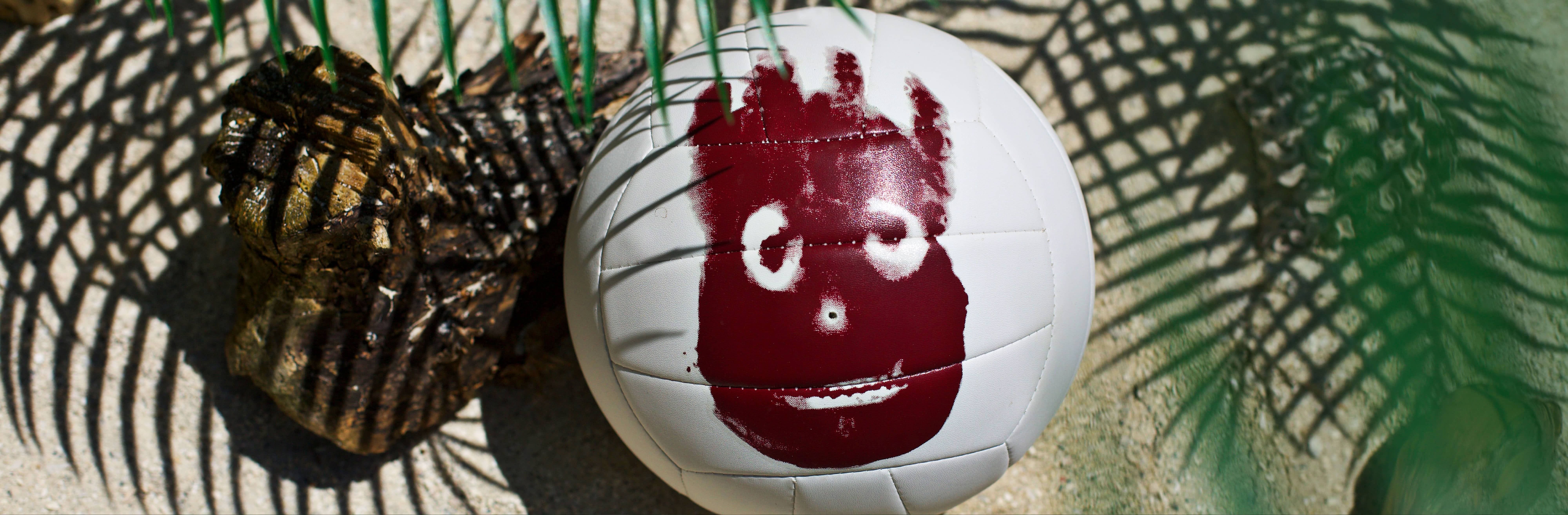 Cast Away Volleyball Wilson Sporting Goods